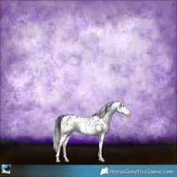 Horse Color:Blue Onyx Sabino Appaloosa Rabicano 