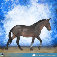 Horse Color:Platinum Brown Tobiano Rabicano 