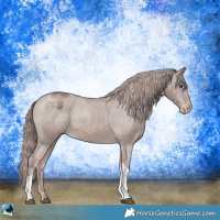 Horse Color:Platinum Chestnut Tobiano Varnish Rabicano 