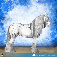 Horse Color:Brown Onyx Tobiano Appaloosa Rabicano 