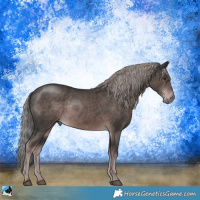 Horse Color:Platinum Liver Chestnut Rabicano