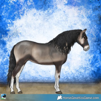 Horse Color:Blue Onyx Tobiano Rabicano 