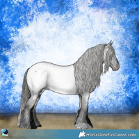 Horse Color:Black Ice Appaloosa 