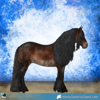 Horse Color:Brown Ice Sabino 