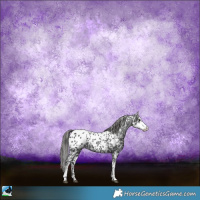 Horse Color:Black Sabino Appaloosa Rabicano