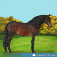 Horse Color:Brown 