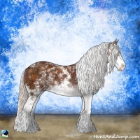 Horse Color:Silver Bay Ice Sabino Rabicano 