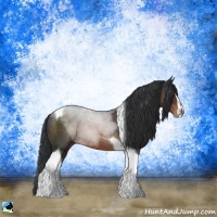 Horse Color:Brown Sabino Tobiano Rabicano 