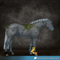 Horse Color:ERROR: UNKNOWN ANOMALY