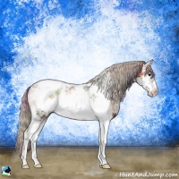 Horse Color:Nacre Silver Bay Ice Onyx Sabino Tobiano Frame Rabicano 