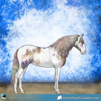 Horse Color:Nacre Chocolate Palomino Ice Onyx Sabino Tobiano