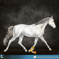 Horse Color:White Spotted Amber Cream Champagne Appaloosa 