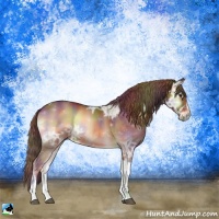 Horse Color:Nacre Red Onyx Ice Sabino Tobiano