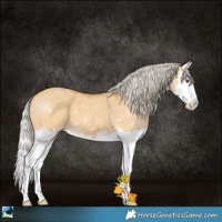 Horse Color:Silver Buckskin Dun Sabino Splash 