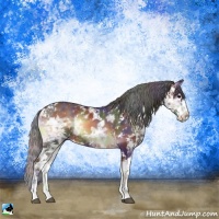 Horse Color:Nacre Brown Ice Onyx Sabino