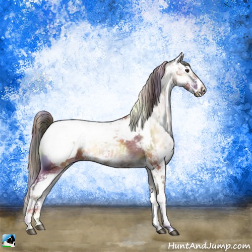 Horse Color:Nacre Bay Ice Onyx Sabino Splash Appaloosa 