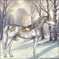 Horse Color:White Spotted Liver Chestnut Mushroom Splash 