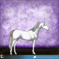 Horse Color:Smoky Black Ice Snowflake Varnish