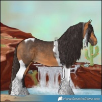 Horse Color:Buckskin Tobiano 