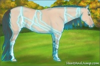 Horse Color:Thunderstruck Sable Champagne Dun