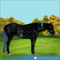 Horse Color:ERROR: UNKNOWN ANOMALY