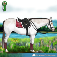 Horse Color:Amber Champagne Roan Splash Frame 