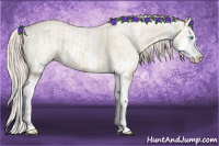 Horse Color:Perlino Splash  and Perlino Splash 