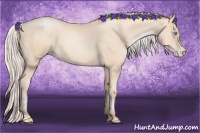 Horse Color:Silver Sable Cream Champagne Pearl 