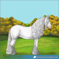 Horse Color:Gray Silver Amber Cream Champagne Roan Dun Splash Tobiano Frame Appaloosa Rabicano 