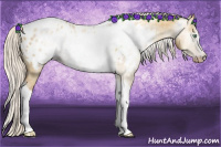 Horse Color:Gray Silver Amber Cream Champagne Roan Dun Splash Tobiano Frame Appaloosa Rabicano 