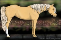 Horse Color:Palomino 