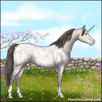 Horse Color:Platinum Amber Champagne Appaloosa 