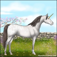 Horse Color:Platinum Amber Champagne Roan Appaloosa 