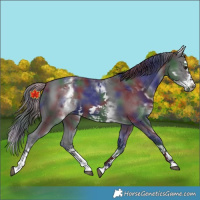 Horse Color:Nacre White Spotted Black Splash Frame 