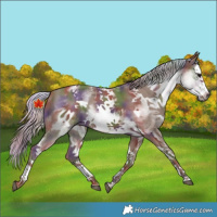 Horse Color:Nacre White Spotted Silver Black Splash Frame 