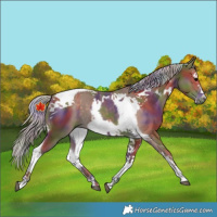 Horse Color:Nacre Silver Black Splash Tobiano Frame 