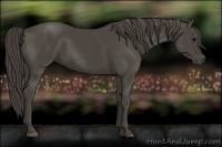 Horse Color:Smoky Black 