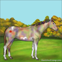 Horse Color:Painted Nacre Buckskin Dun Tobiano Frame Rabicano