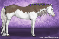 Horse Color:Silver Black Splash 