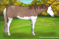 Horse Color:Red Roan Splash Varnish