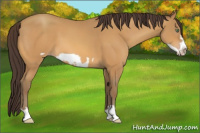 Horse Color:Sable Cream Champagne Frame 