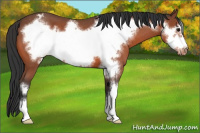 Horse Color:Bay Roan Frame Snowcap