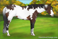 Horse Color:White Spotted Brown Frame Varnish 