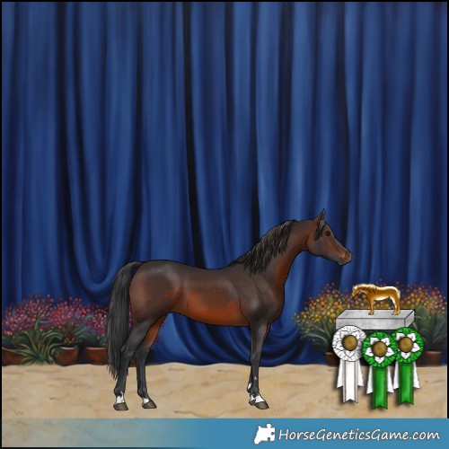 Horse Color:Brown 