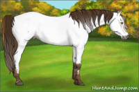 Horse Color:Gray Buckskin Dun Near Fewspot 