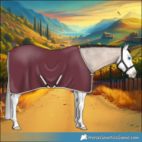 Horse Color:Sable Champagne Roan Splash Rabicano