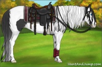 Horse Color:Black Splash Tobiano Appaloosa 