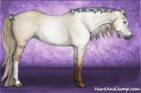 Horse Color:Gray Red Dun Roan 