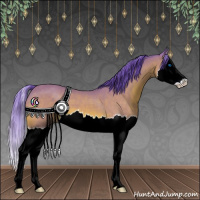Horse Color:Watercolor Bay Sabino Splash 