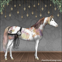Horse Color:Nacre White Spotted Red Dun Splash Rabicano 
